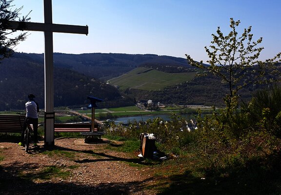 Aussichtspunkt oberhalb von Zeltingen-Rachtig