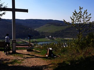 Aussichtspunkt oberhalb von Zeltingen-Rachtig