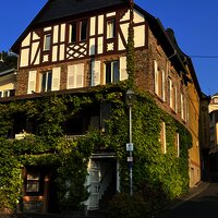 IMG_1090