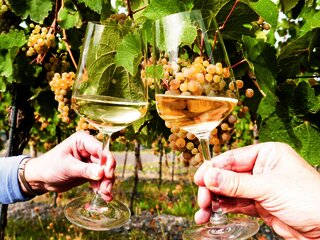 Genuss im Weinberg