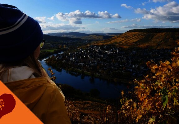 Herbstwanderung an der Mosel - Familien-Rundweg