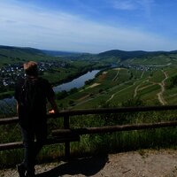 Ausblick auf die Weinberge und die Mosel