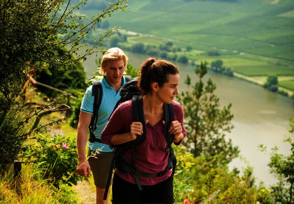 Wandern auf dem Moselsteig nach Mehring