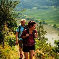 Wandern auf dem Moselsteig nach Mehring