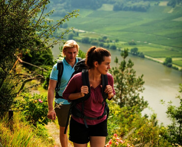 Wandern auf dem Moselsteig nach Mehring