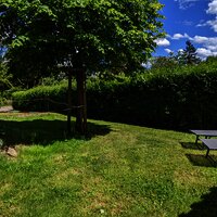 PXL_20220601_125759569