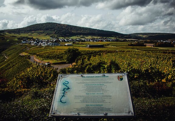 Ausblick auf den Monzeler Hüttenkopf