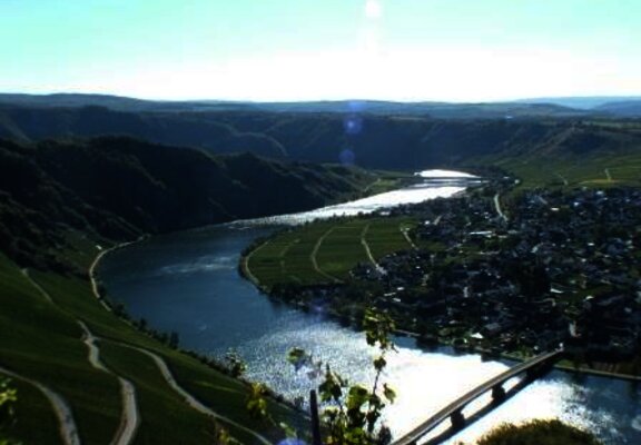 Moselloreley