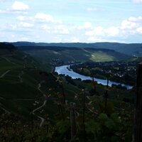 Moselblick 1