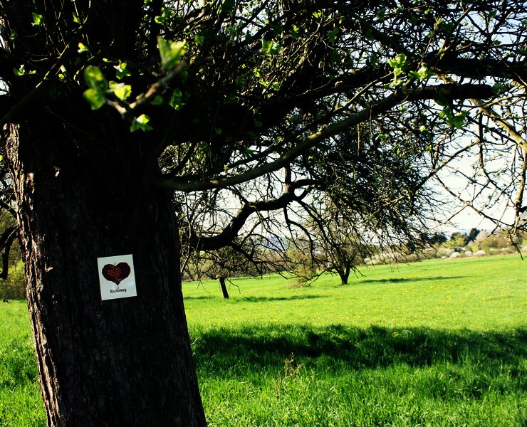 Beschilderung Klosterweg