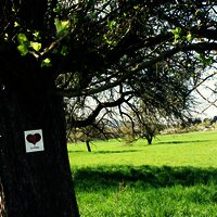 Beschilderung Klosterweg