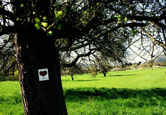 Beschilderung Klosterweg