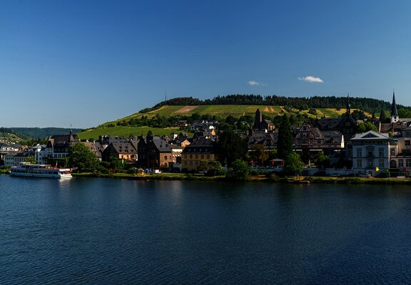 Blick auf Traben Trarbach vom Mosel-Radweg