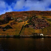 Weinlagen im Herbst