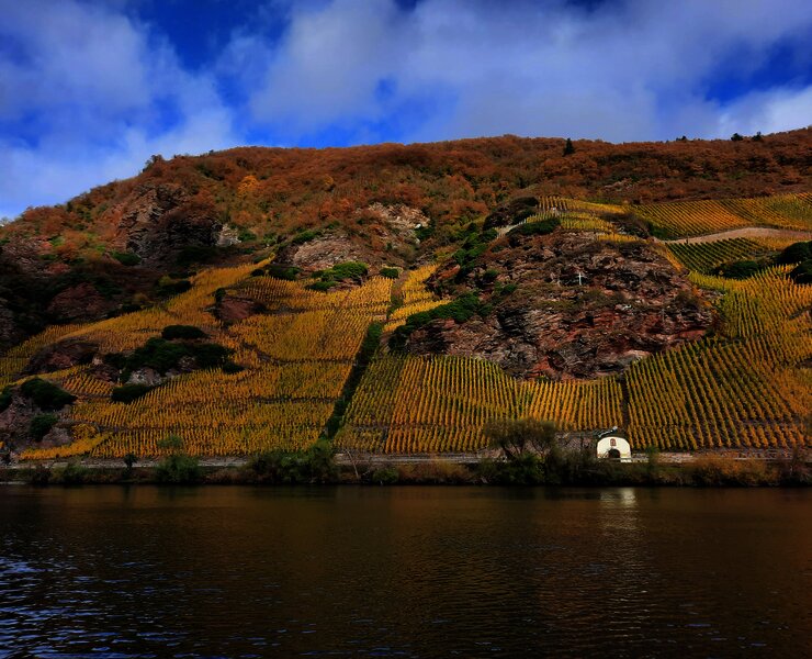 Weinlagen im Herbst