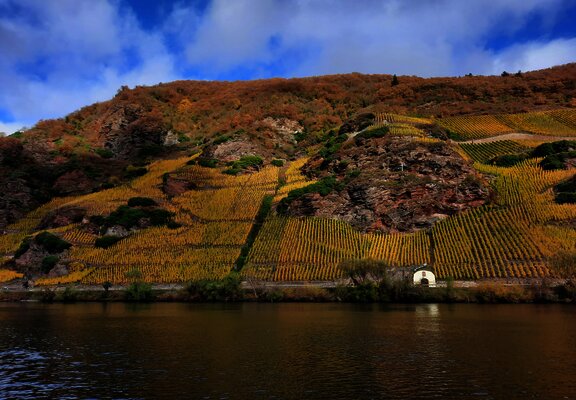 Weinlagen im Herbst