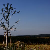 Felderlandschaft bei Longkamp