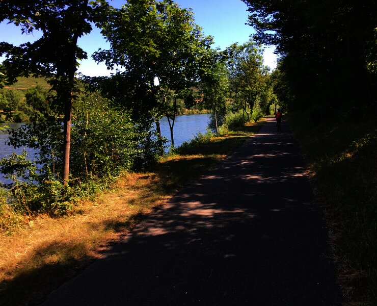 Der Mosel-Radweg bei Temmels