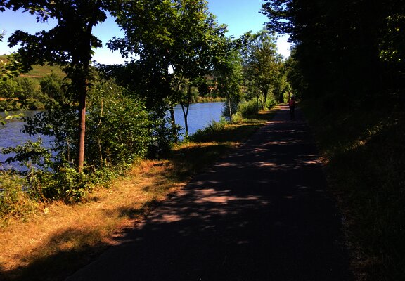 Der Mosel-Radweg bei Temmels