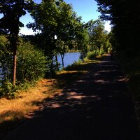 Der Mosel-Radweg bei Temmels