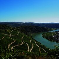 Ausblick Panoramastaße bei Piesport