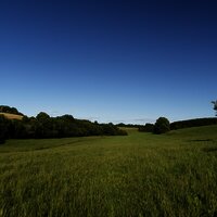 Wiesenlandschaft im Hunsrück