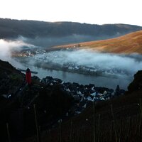 Blick auf Zell und den Runden Tum vom Collis-Steilpfad