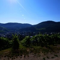 Aussicht Fierskapelle Bernkastel-Kues