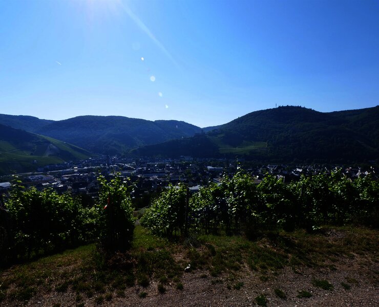 Aussicht Fierskapelle Bernkastel-Kues