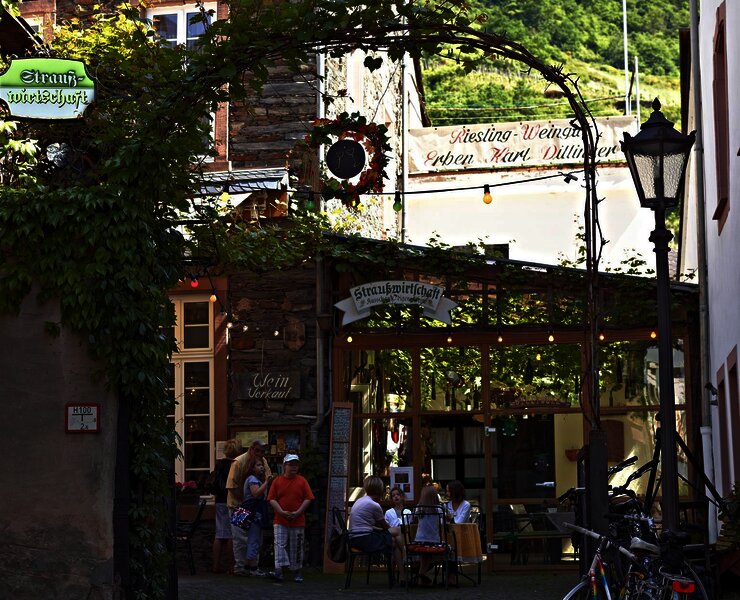 Riesling-Weingut Dillinger