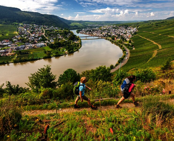 Wanderung auf dem Moselsteig von Schweich nach Mehring
