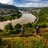 Wanderung auf dem Moselsteig von Schweich nach Mehring