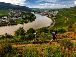 Wanderung auf dem Moselsteig von Schweich nach Mehring
