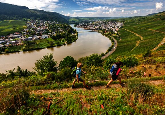 Wanderung auf dem Moselsteig von Schweich nach Mehring