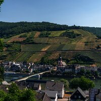 Blick auf Zell vom Mosel-Radweg