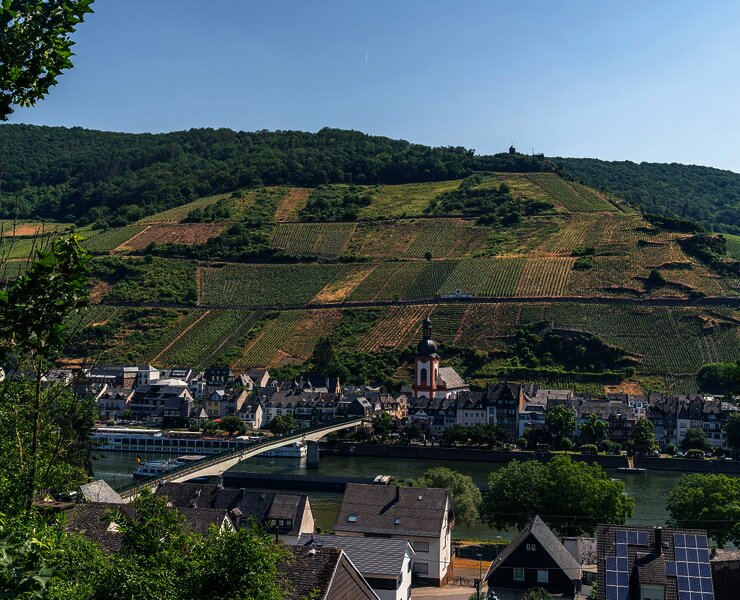 Blick auf Zell vom Mosel-Radweg