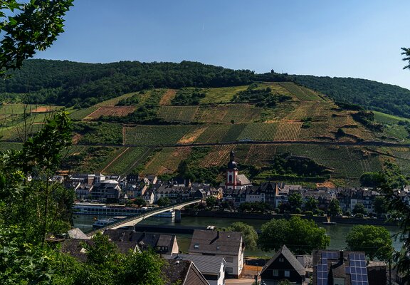 Blick auf Zell vom Mosel-Radweg