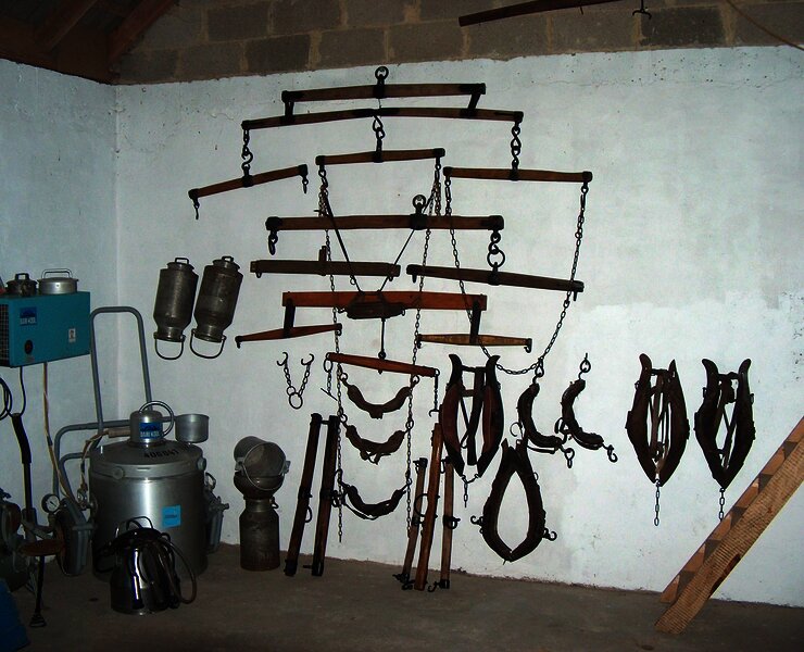 Ausstellungsstücke Scheunenmuseum