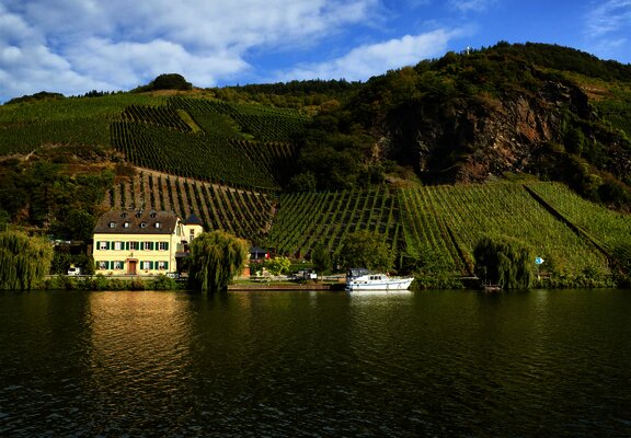 Blick auf das Weingut Geierslay