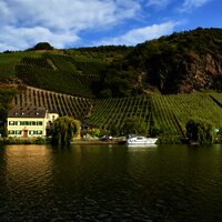 Blick auf das Weingut Geierslay