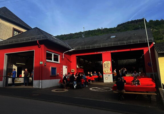 Weinberge in Wintrich