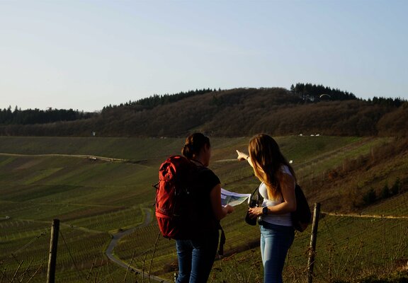 Frau mit Rucksack im Weinberg