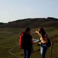 Frau mit Rucksack im Weinberg