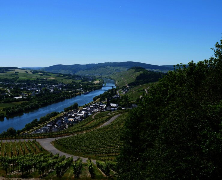Weinberge über Lieser