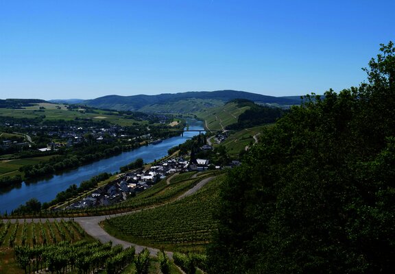 Weinberge über Lieser