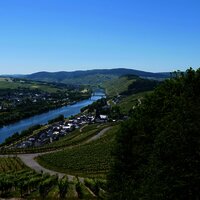 Weinberge über Lieser