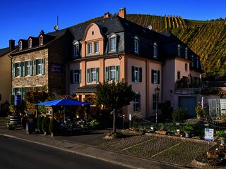 Weingut Architektur