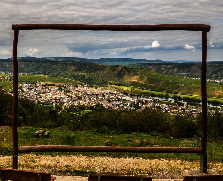 Moselkino am Moselachter bei Leiwen