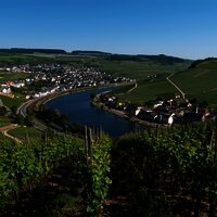 Moselsteig an der Obermosel