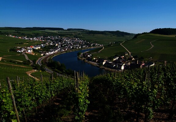 Moselsteig an der Obermosel